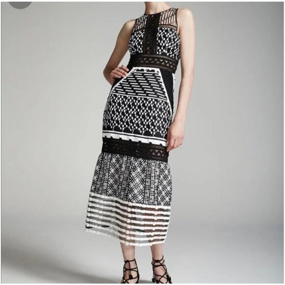 Johnathan Simkhai Embroidered Organza Mesh Midi Dress Size 2 - Picture 7 of 16